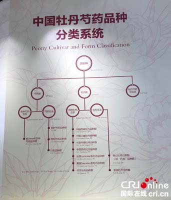 图片默认标题_fororder_微信图片_20190508133830 拷贝