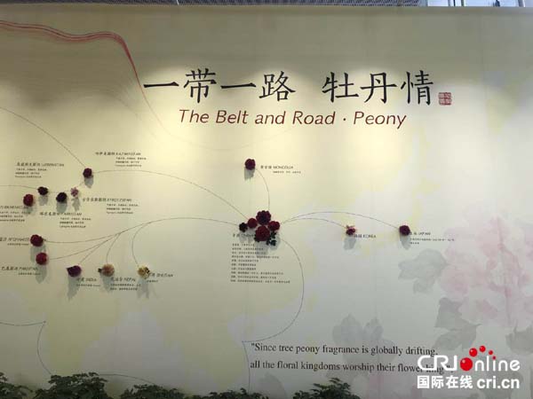 图片默认标题