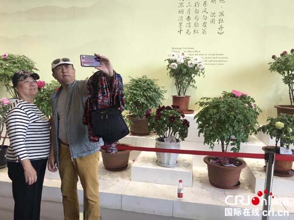 前来参观的游客认真地拍下植喜爱的植物照片。_fororder_微信图片_20190508133826 拷贝