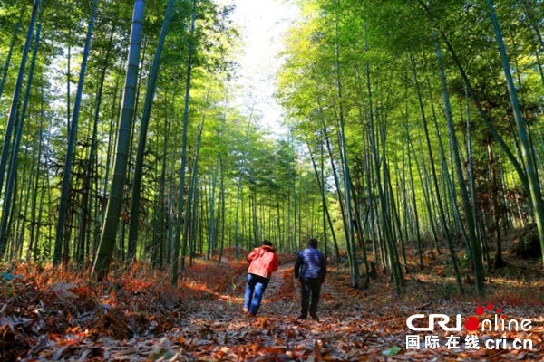 【供稿待审】江西芦溪：“旅游+”风生水起（文旅视界）