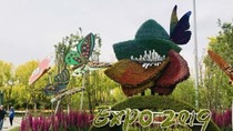 2019年北京世园会创下了A1类世园会国际参展方数量最多的纪录。