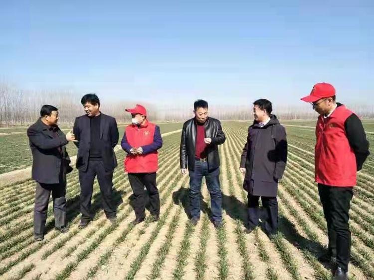邹平：专家“垄上行”，技术送田间