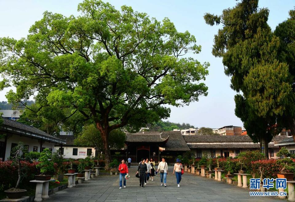 福建龙岩：红色旅游升温
