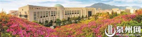 泉州多地杜鹃花进入盛花期 赏花市民络绎不绝