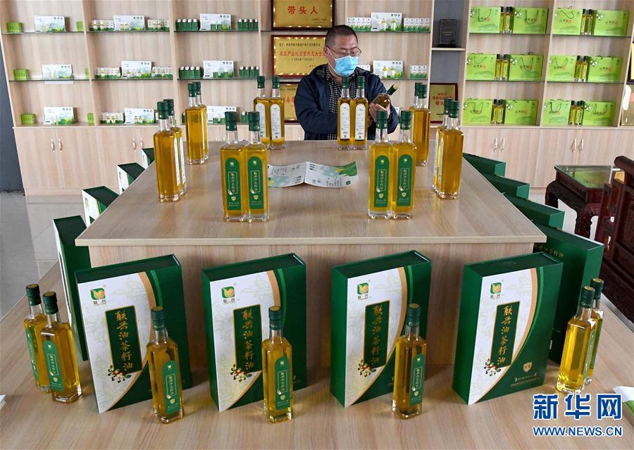 【焦点图-大图】【移动端-轮播图】河南光山：油茶富民
