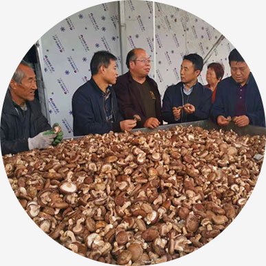 铜川市耀州区庙湾镇蔡河村第一书记卢则名：发展产业带动群众脱贫致富_fororder_故事模板