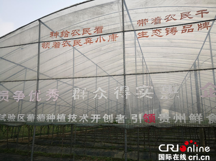 【民族要复兴 乡村必振兴】党建引领贵州金沙接续推进乡村振兴_fororder_转载
