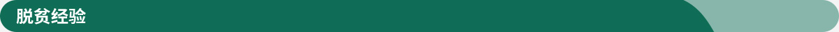 脱贫经验banner_fororder_3脱贫攻坚专题脱贫经验1200-47