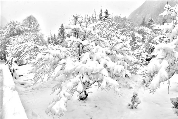 当四姑娘山遇上倒春寒——如梦如幻的水墨丹青_fororder_2、四姑娘山雪景-摄影-梅建文