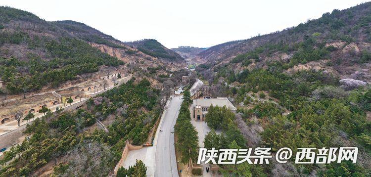 【在这里读懂初心使命—网络媒体革命老区行】访杨家岭革命旧址：讲好党史故事 让红色基因代代相传