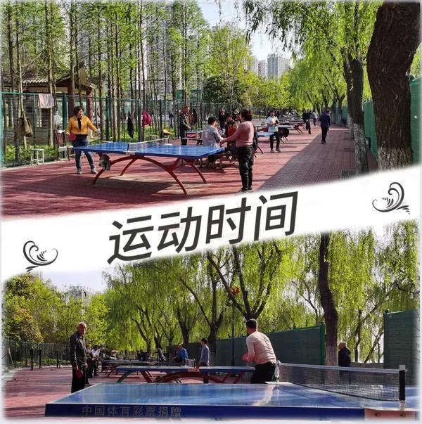 点亮中原运动场的“星” 洛阳这个锻炼场地太美了