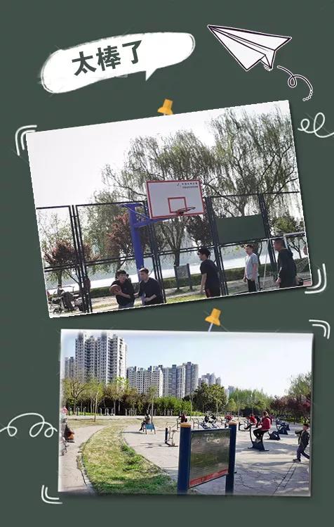 点亮中原运动场的“星” 洛阳这个锻炼场地太美了