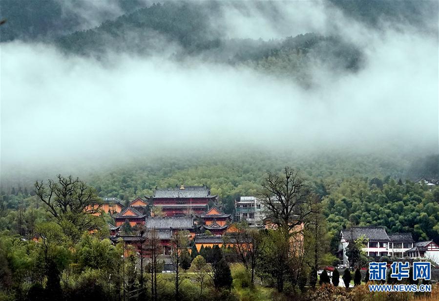 【焦点图-大图】【移动端-轮播图】烟雨黄柏山