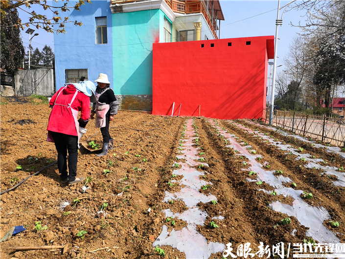 （社会）钟山区：让小康菜园建设推进千家户 让幸福生活敲开万家门