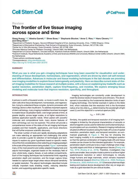 The Young Researcher of the Second Affiliated Hospital of Xi'an Jiaotong University Publishes the Finding of Imaging on Cell Stem Cell_fororder_图片1