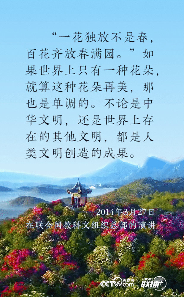 习近平文明交流“话中画”