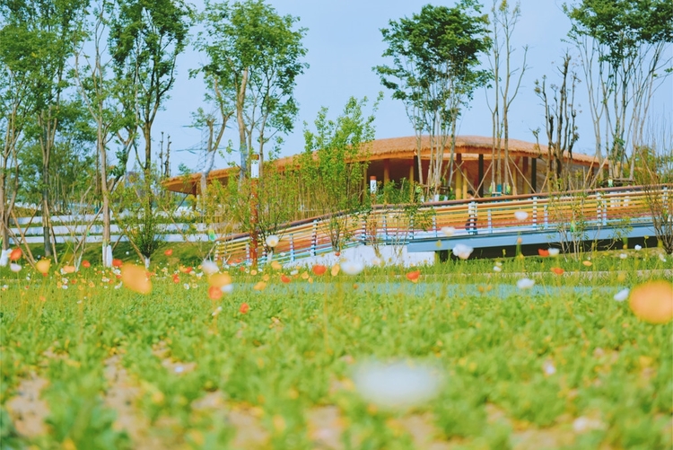 家门口的风景“上新”了！成都武侯区“宜居水岸”一期项目全面建成