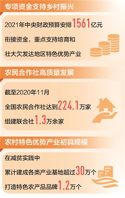 特色产业，在乡村“生长”（倾听·乡村振兴新动能）