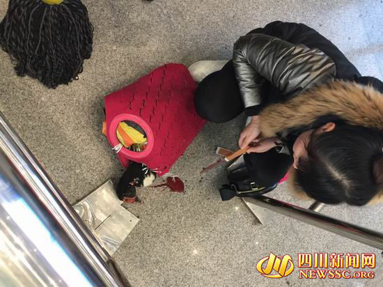 四川女子带活鸭过安检被拒 现场提刀宰杀