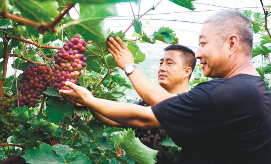 与绿色相拥——灯塔市坚持生态优先加速迈向省级森林城市_fororder_3