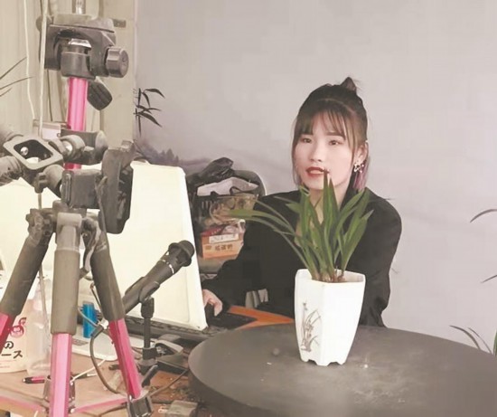 漳州南靖：兰花铺就两岸合作致富路