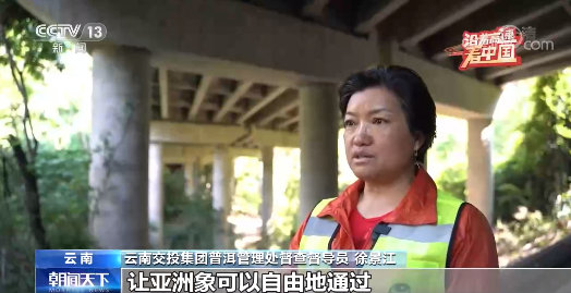 沿着高速看中国丨走思小、大丽高速 看彩云之南绿色发展之路
