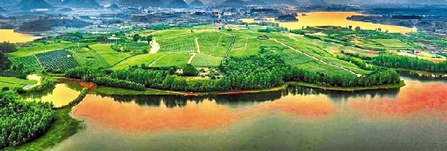 （中首）贵州贵阳：青山秀水出好茶 茶旅一体乡村美_fororder_3
