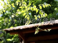 【亚洲文明交流互鉴——南亚印记系列】白马寺的印度佛殿_fororder_RTX截图未命名