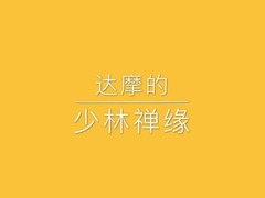 【亚洲文明交流互鉴——南亚印记系列】达摩的少林禅缘_fororder_RTX截图未命名