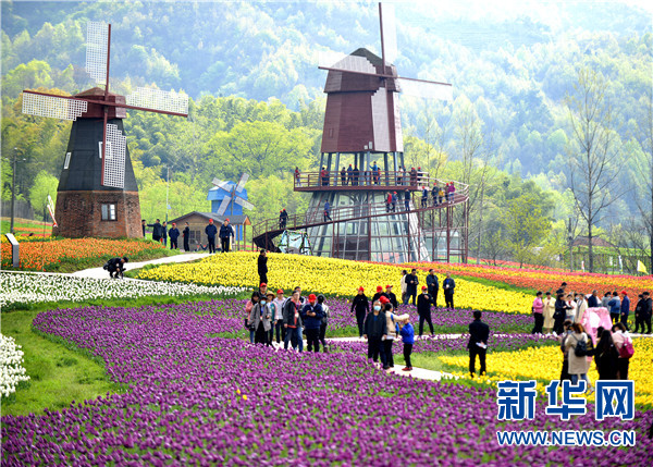 信阳固始：全域旅游助推乡村振兴系列活动启动