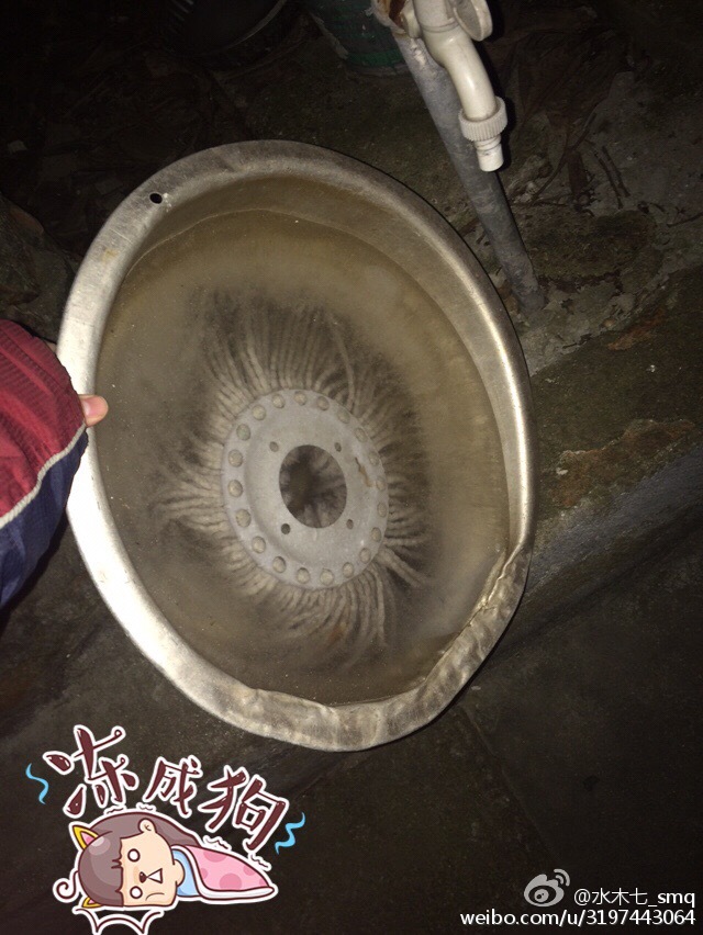 寒潮来袭乌龟被冻成"龟凝膏" 网友:它们还有救吗？