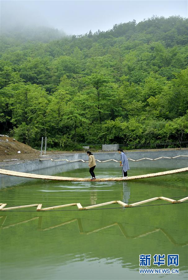 湖北恩施：大山深处的“多彩乡村”
