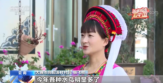沿着高速看中国丨走思小、大丽高速 看彩云之南绿色发展之路