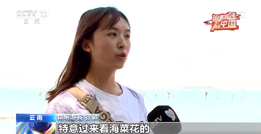沿着高速看中国丨走思小、大丽高速 看彩云之南绿色发展之路