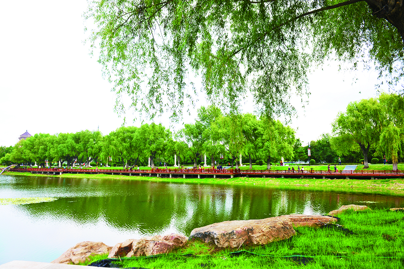 长春市朝阳区河长制长效管理确保“河畅水清”