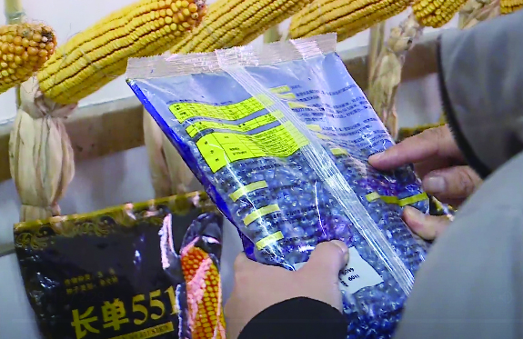 长春市掀起春耕播种热潮