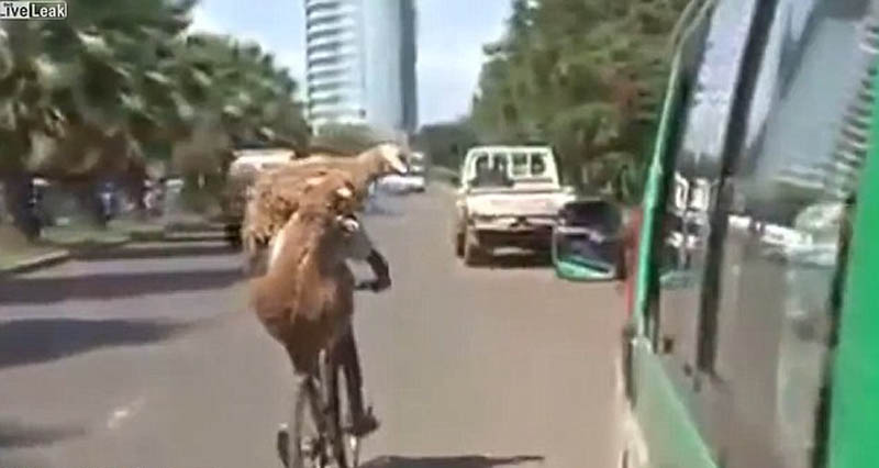 图片默认标题