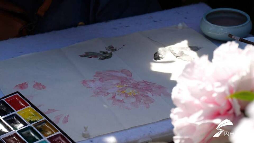 800个珍贵品种牡丹竞相开放 泰山牡丹园花开引人来