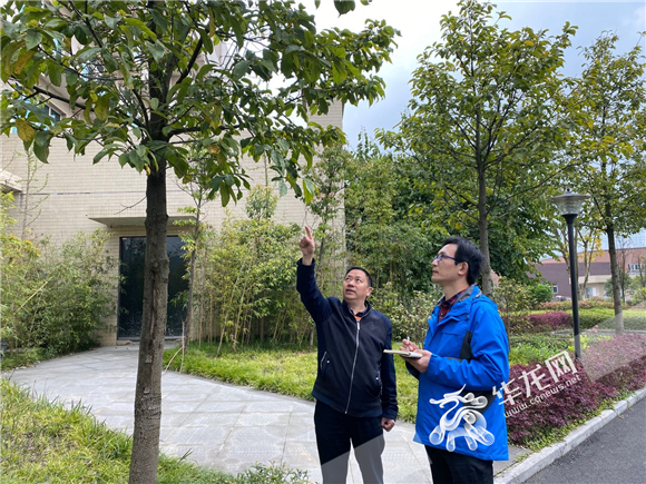 【滚动】【区县联动】重庆南川有座“川渝共建实验室”让“山珍”变成摇钱树