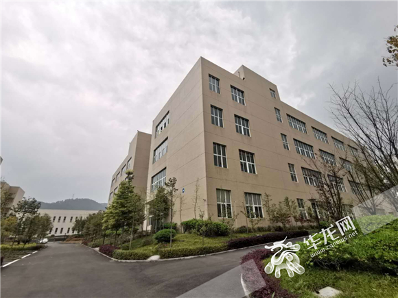 【滚动】【区县联动】重庆南川有座“川渝共建实验室”让“山珍”变成摇钱树