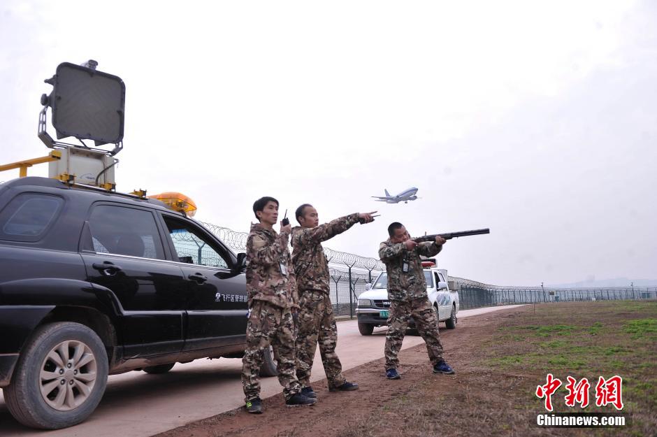 重庆机场持枪“驱鸟人” 保旅客春运出行平安