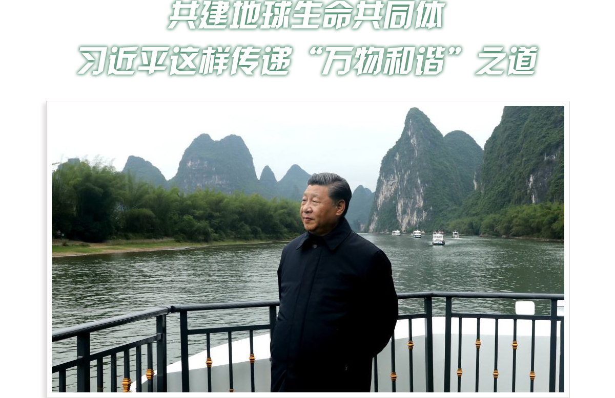 头图_fororder_PC-绿色