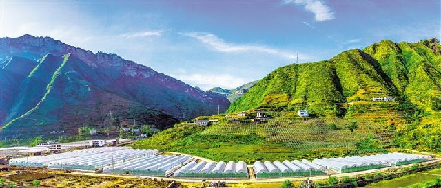 （中首）贵州：立足市场需求 深化产销衔接_fororder_2