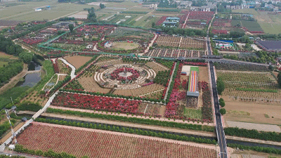 时政新闻眼丨习近平赴河南南阳考察，为何关注这些名人、名产？
