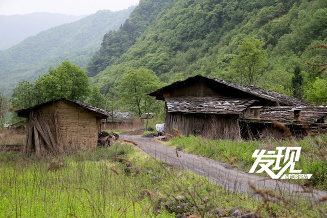 图片默认标题