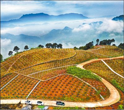 乡村公路 助力致富