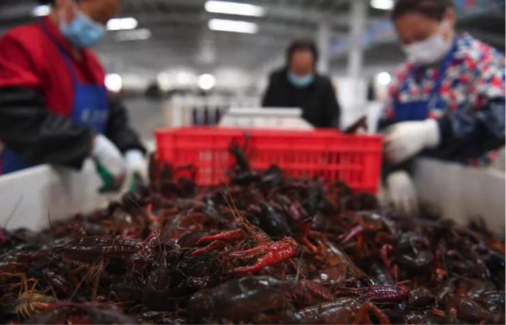 图片默认标题_fororder_1