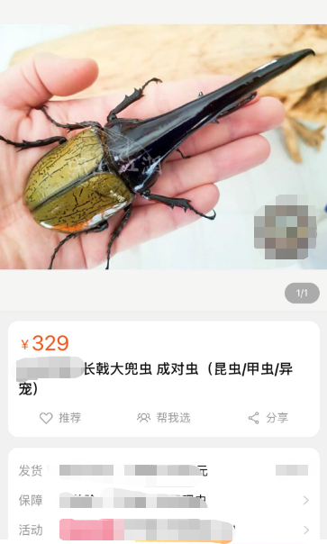 尝试蒙混过“关”的外来物种