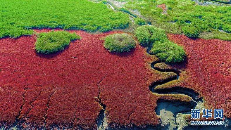生态中国·天辽地宁红滩舞