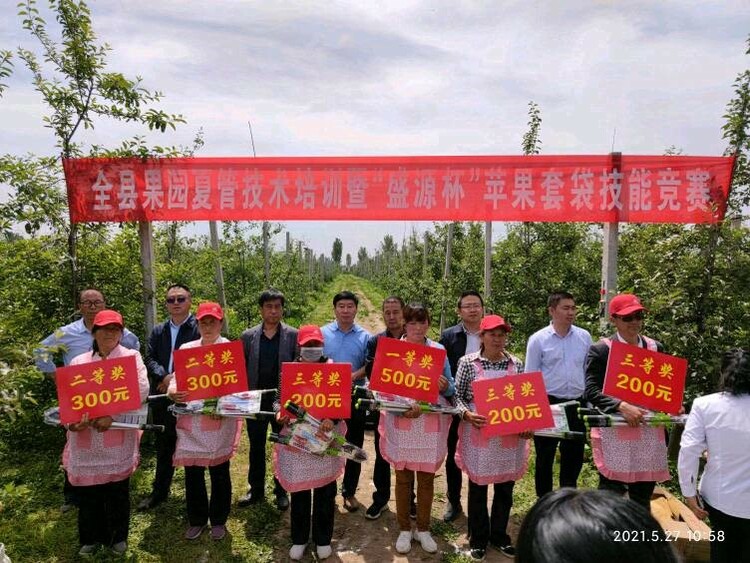 宝鸡陇县：结合果园夏管培训开展苹果套袋技能竞赛_fororder_4